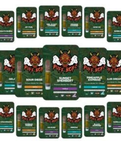 Buy Puff Boyz – Premium 800MG THC Cartridge