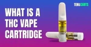 How to Use a THC Vape Cartridge: A 2025 Beginner’s Guide