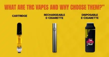 Buy Cheap THC Vapes for 2025