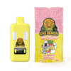 Buy Strawberry Shortcake x Maui Wowie Vape 6000mg By Gas Demon